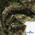 Ткань костюмная «Микровельвет велюровый принт», 220 г/м2, 97% полиэстр, 3% спандекс, ш. 150См Цв  #9 - купить в Воронеже. Цена 439.76 руб.
