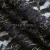 Кружевное полотно XD LACE 1-4, 80 гр/м2, шир.150см, цвет чёрный - купить в Воронеже. Цена 245.94 руб.