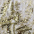 Трикотажное полотно, Сетка с пайетками, шир.130 см, #315, цв.-белый/золото - купить в Воронеже. Цена 693.39 руб.