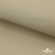Ткань подкладочная TWILL 230T 14-1108, беж светлый 100% полиэстер,66 г/м2, шир.150 cм - купить в Воронеже. Цена 90.59 руб.