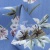 Плательная ткань "Фламенко" 12.1, 80 гр/м2, шир.150 см, принт растительный - купить в Воронеже. Цена 241.49 руб.