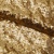 Сетка с пайетками №3, 188 гр/м2, шир.140см, цвет золотой - купить в Воронеже. Цена 454.12 руб.