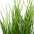 Трава искусственная -4, шт  (осока 50 см/8 см  7 листов)				 - купить в Воронеже. Цена: 132.07 руб.